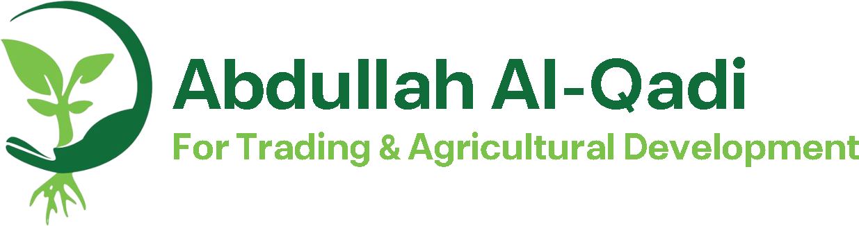 Abdullah Alqadi